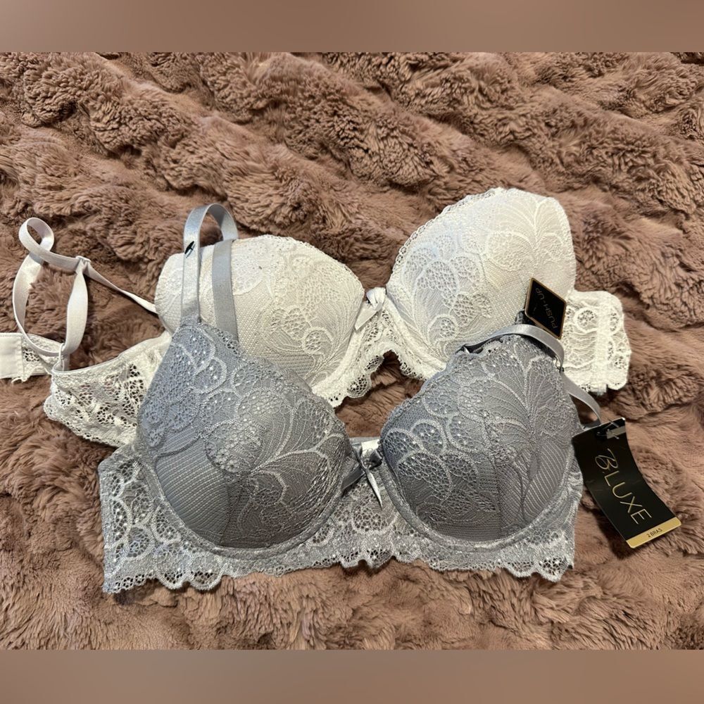 Luxe Elegant Lace Bra Duo - Gray and White